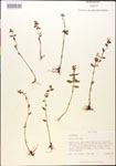 000015372-thumbnail.jpg