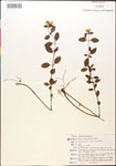 000015374-thumbnail.jpg