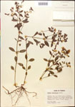 000015378-thumbnail.jpg