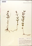 000015379-thumbnail.jpg