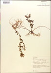 000015380-thumbnail.jpg