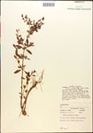 000015381-thumbnail.jpg