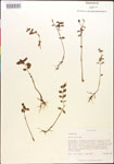 000015383-thumbnail.jpg