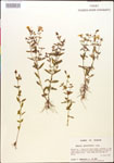 000015386-thumbnail.jpg