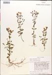 000015387-thumbnail.jpg