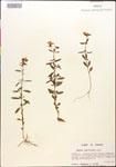000015389-thumbnail.jpg