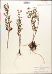 000015393-thumbnail.jpg