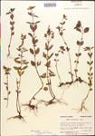 000015394-thumbnail.jpg