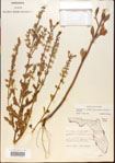 000015486-thumbnail.jpg