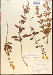 000015488-thumbnail.jpg
