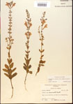 000015489-thumbnail.jpg