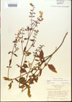 000015490-thumbnail.jpg