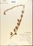 000015491-thumbnail.jpg