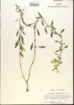 000015492-thumbnail.jpg