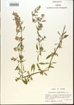 000015493-thumbnail.jpg