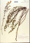 000015495-thumbnail.jpg