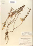 000015496-thumbnail.jpg