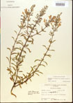 000015497-thumbnail.jpg