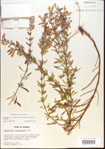 000015498-thumbnail.jpg