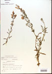 000015499-thumbnail.jpg