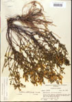 000015500-thumbnail.jpg
