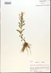 000015604-thumbnail.jpg