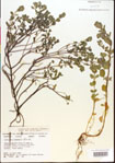 000015646-thumbnail.jpg
