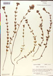 000015657-thumbnail.jpg