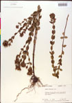 000015671-thumbnail.jpg