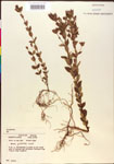 000015675-thumbnail.jpg
