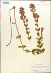 000015678-thumbnail.jpg