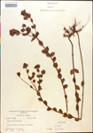 000015694-thumbnail.jpg