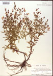 000015698-thumbnail.jpg
