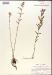 000015700-thumbnail.jpg