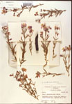 000015703-thumbnail.jpg