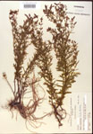 000015708-thumbnail.jpg