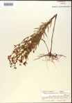 000015712-thumbnail.jpg