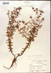 000015713-thumbnail.jpg