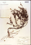 000015714-thumbnail.jpg