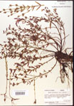 000015716-thumbnail.jpg