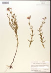 000015717-thumbnail.jpg