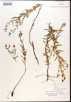 000015718-thumbnail.jpg