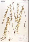 000015719-thumbnail.jpg