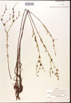 000015720-thumbnail.jpg