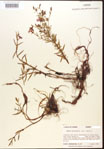 000015723-thumbnail.jpg