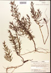 000015724-thumbnail.jpg