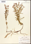 000015726-thumbnail.jpg