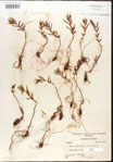 000015732-thumbnail.jpg