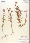 000015733-thumbnail.jpg