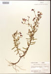 000015737-thumbnail.jpg